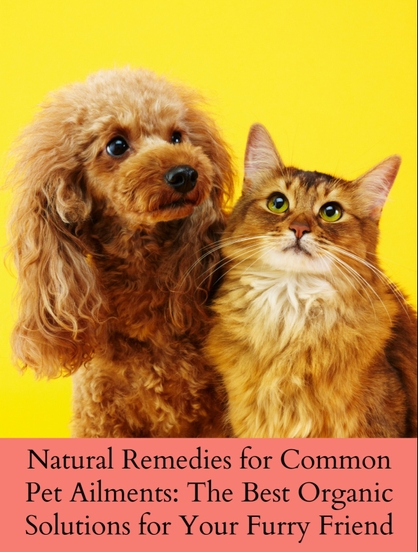 NATURAL REMEDIES FOR COMMON PET AILMENTS: THE BEST ORGANIC SOLUTIONS FOR YOUR FURRY FRIEND